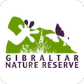 Gibraltar Upper Rock Paths