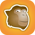 GIB Macaque