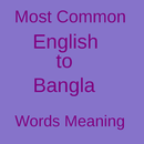 Common English Word Meaning APK