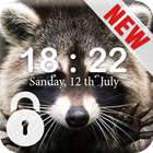 Raccoon Animaux HD Verrouillage icône