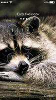 Raccoon Animaux HD Verrouillage Affiche
