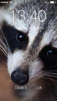 Raccoon Animaux HD Verrouillage capture d'écran 1