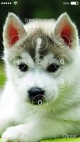 Hucky Dog HD Lock 截图 1