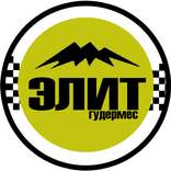 Элит Гудермес: Водитель