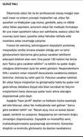 برنامه‌نما Göydən yerə (Yalçın İslamzadə) عکس از صفحه