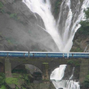 Wallpaper Dudhsagar Waterfall APK