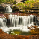 Wallpapers Magic River Cano Cristales aplikacja