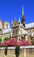 Wallpapers Notre Dame captura de pantalla 1