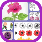 Learn to Draw Flowers icon
