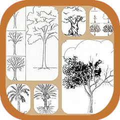 Learn to Draw Trees APK 下載
