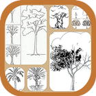 Learn to Draw Trees 圖標