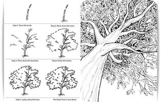 Poster Impara a disegnare albero