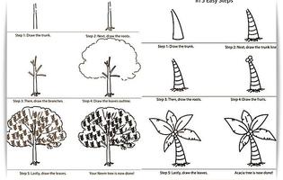 1 Schermata Impara a disegnare albero