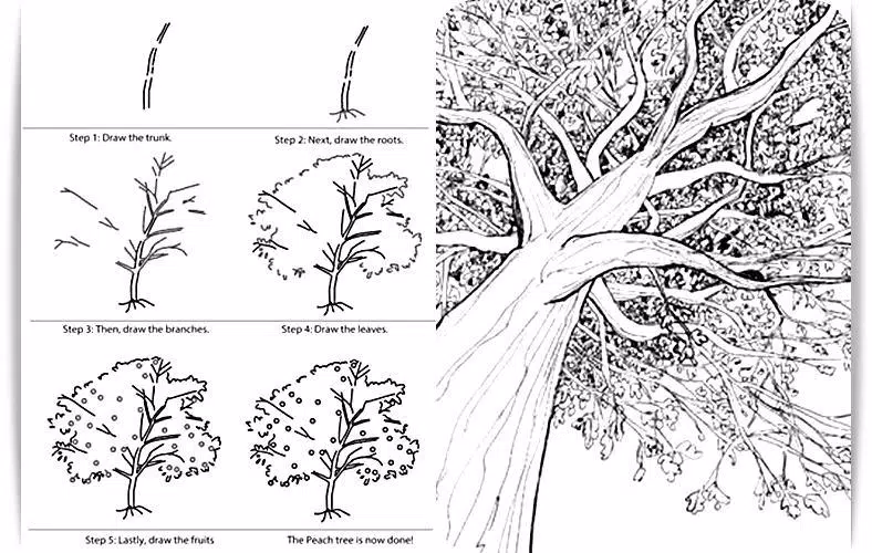 تعلم كيفية رسم شجرة APK للاندرويد تنزيل