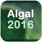 ikon Algal2016