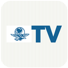 El Universal TV آئیکن