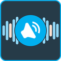 ”Streaming Music Player