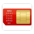 Your Sim Information