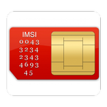 Your Sim Information