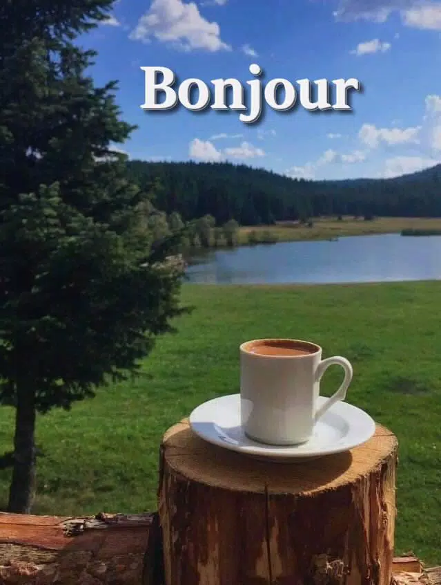 Paroles D Amour 19 For Android Apk Download Paroles D Amour 19 For Android Apk Download