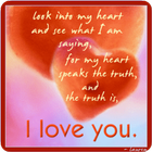 Love Quotes Gallery-icoon