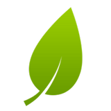 GeoNest Prototype icon