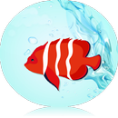 Fishing Joy Diary APK