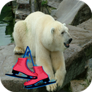 Ice Polar Bear Skating aplikacja