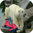 Ice Polar Bear Skating APK