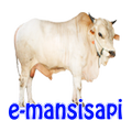 e-mansisapi
