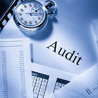 Audit Information System اسکرین شاٹ 1