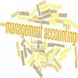 Management Accounting icône