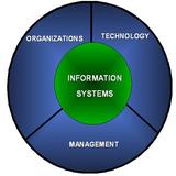 Management Information Systems icône