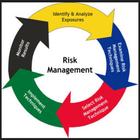 Risk Management Handbook иконка