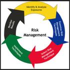 Risk Management icône