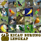 The Most Complete Birdsong أيقونة