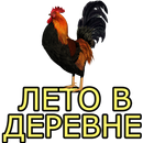 Лето в деревне APK