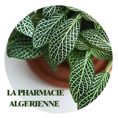Pharmacie Algérienne -Dictionnaire des médicaments