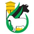 GrazFeed