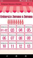 Embarazo Semana a Semana الملصق