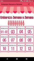 Embarazo Semana a Semana 海报