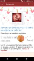 Embarazo Semana a Semana تصوير الشاشة 1