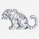 Assets APK