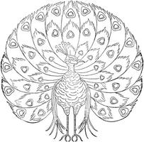 embroidery design screenshot 1