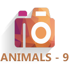 HD Duvar Kağıdı (Animals-9) icône