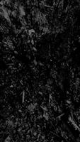 HD Duvarkağıdı Siyah-1 Ekran Görüntüsü 2