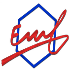 Reseau EMF icône