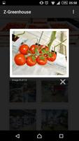 Z-Greenhouse screenshot 1