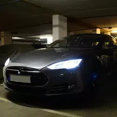 scan my tesla アプリダウンロード