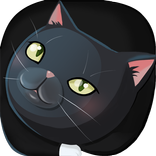 김고양이 친구들